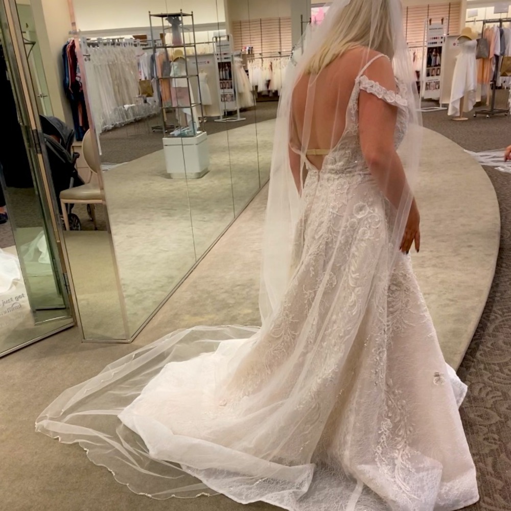 David’s Bridal Veil